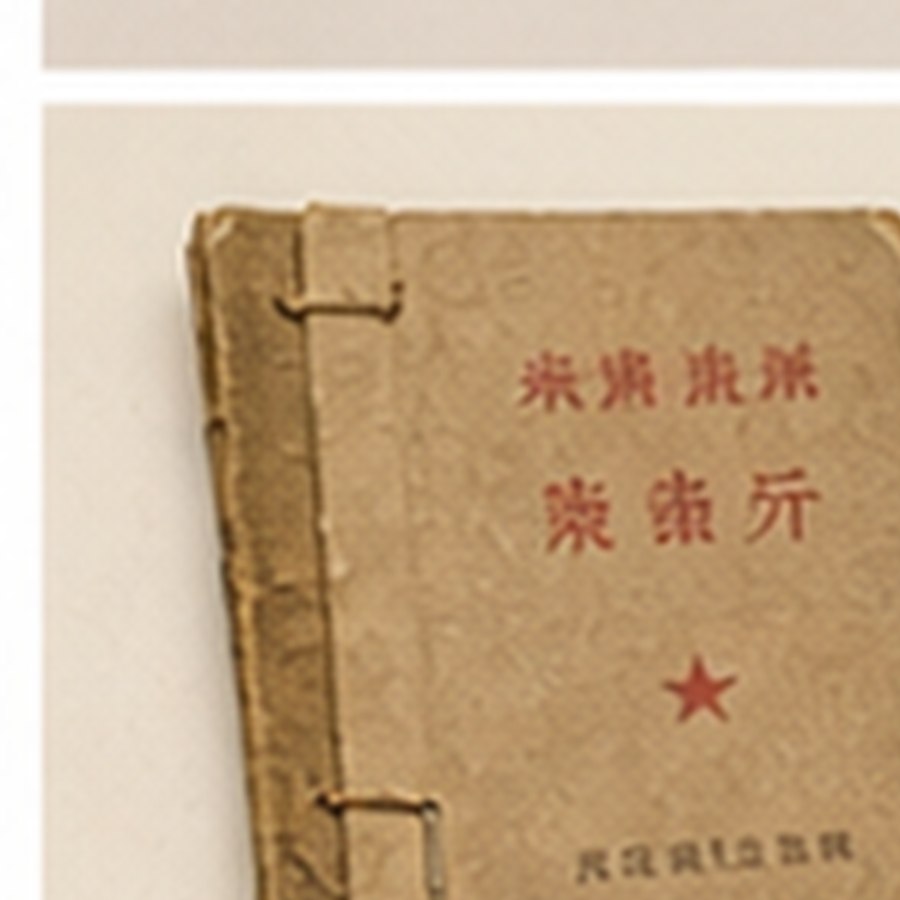 清式全国粮票旧藏 · 包浆自然